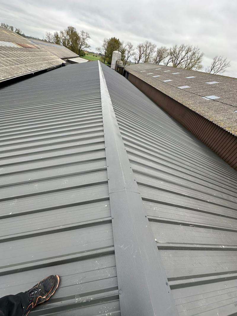 031c689d 9246 4d39 8cb5 748f1d8e8c3b