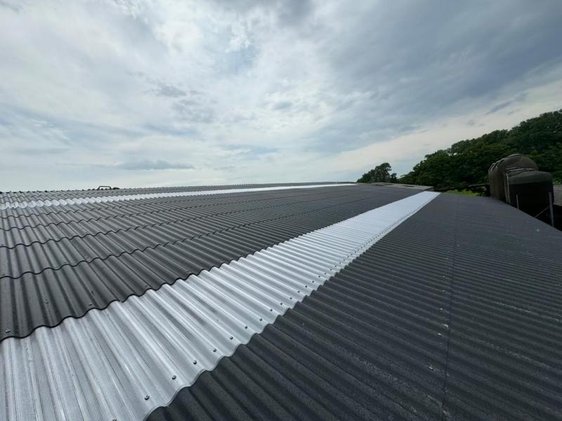 Afbeelding van whatsapp op 2024 07 09 om 15 40 58 1b80c9ab