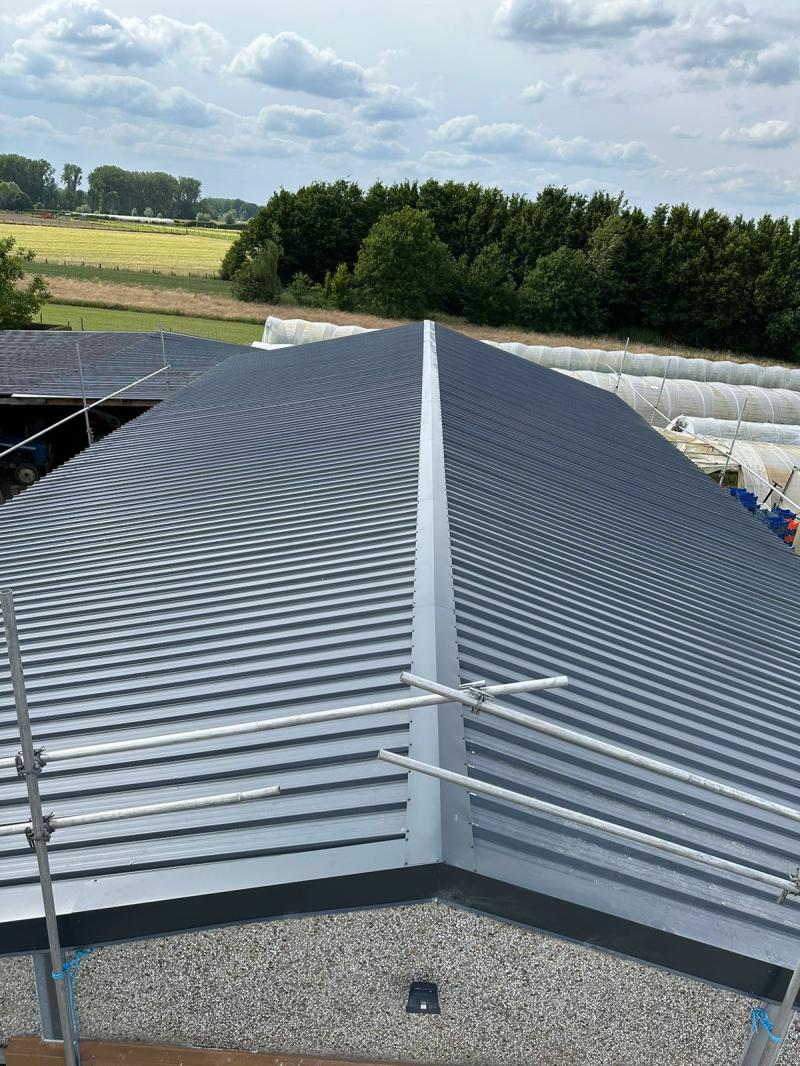 Dakrenovatie te massemen mm montage